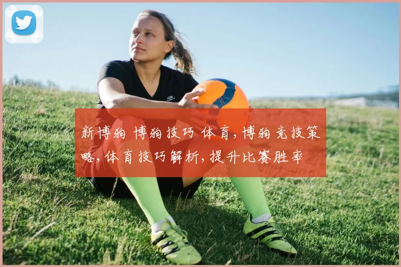 新博狗 博狗技巧 体育,博狗竞技策略,体育技巧解析,提升比赛胜率