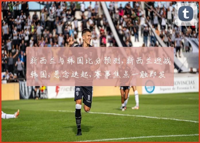 新西兰与韩国比分预测,新西兰迎战韩国,悬念迭起,赛事焦点一触即发,拭目以待