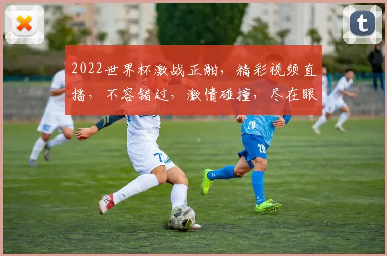 2022世界杯激战正酣，精彩视频直播，不容错过，激情碰撞，尽在眼球之间，