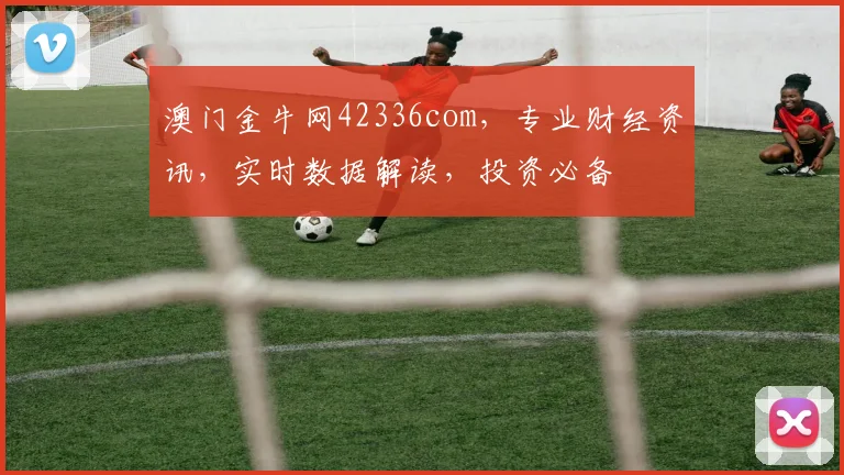 澳门金牛网42336com，专业财经资讯，实时数据解读，投资必备
