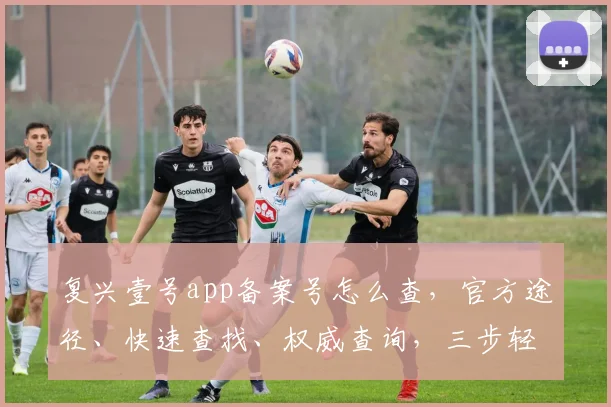 复兴壹号app备案号怎么查，官方途径、快速查找、权威查询，三步轻松获取