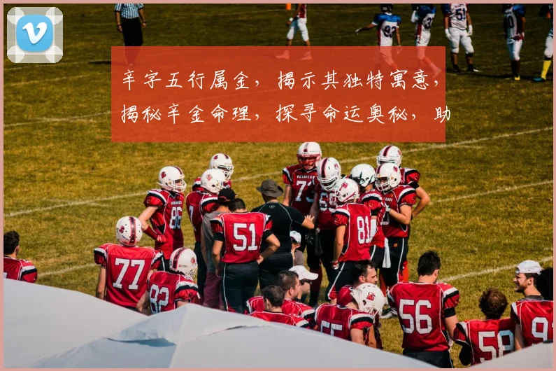 辛字五行属金，揭示其独特寓意，揭秘辛金命理，探寻命运奥秘，助你了解人生轨迹。